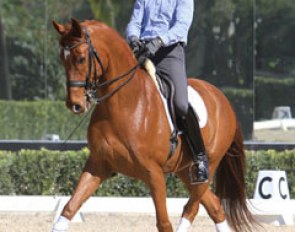 Internationally competed Grand Prix horse Et Voila (by Earl x Matcho AA) :: Photo © Richard Malmgren