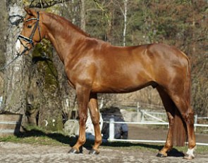 Heraut (by Bordeaux x Ganges)