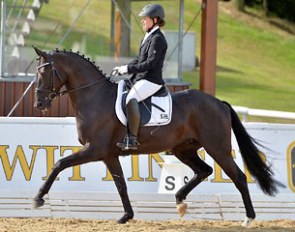 WL Hofprinz became reserve champion at the 2013 Hanoverian Young Horse Championships in Verden