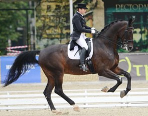 The international Grand Prix horse Khorovod