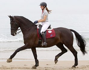 Nibeley Lady Lara UJ