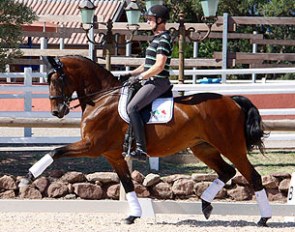 Lady Sinclair (by Lord Sinclair x Ramiro's Son)