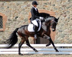 Lundemarkens Layout