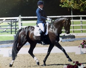 Lochwood (by Starnberg x Mon Cheri)
