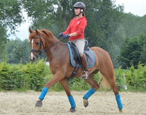 Martini from Serenity Stables :: Photo © Yara Degrave