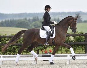 Nikitaro (by Romanov x Don Romantic)