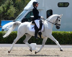 Piccolo (by Pamir ox x Penthagonn ox)