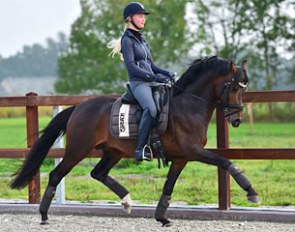 Turfhorst Pippin's Pride AT