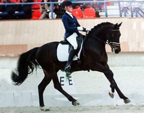FEI Dressage Pony Pop Star (by FS Pour L'Amour x Chantre B)