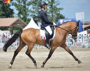 Qualitat des Bourdons (by Champion de Luxe), 2014 European Pony Eventing Champion with massive high score in dressage