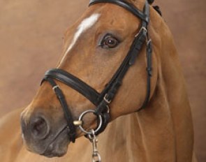 Qualitat des Bourdons is by FS Champion de Luxe