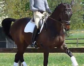 Rani van 't Prinsenhof (by Royal Diamond)