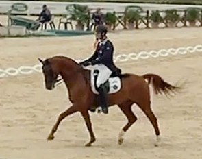 Rhadamanthus, aka Ray, at the 2015 Italian Young Riders Championships where he won bronze