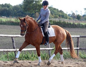 Robinson (by Rob Roy x Del Piero)