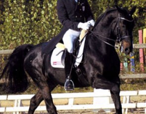 Romeo L.H. (by Rivellino x Brentano I)