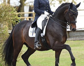 Sarotti (by Sir Donnerhall I x Cagliostro xx)