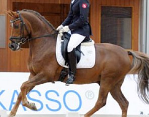 Schapur (by Sweet Dream x Thriantas Norbert)