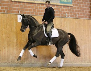 Solitaire (by Sandro Hit x Rubinstein x Feingau)