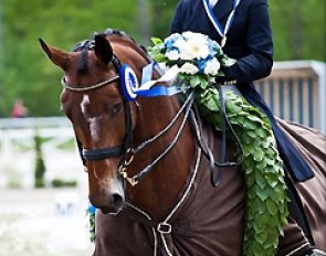 Soraya II became Finnish Grand Prix dressage champion in 2013