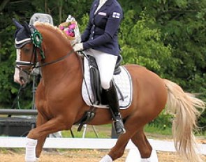 Top Tilas (by Top Anthony x Dark Rubin), Elite international FEI dressage pony for sale