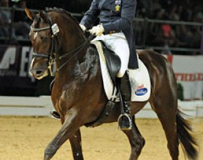 International Grand Prix horse Utopian Cardinal (by Regardez Moi x Lanthan)