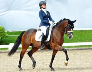 Vincento Royal (by Vincent x Notre Beau)