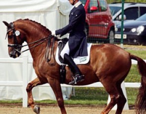 Vivanck (by Royal Dance x Vincent x Donnerhall)