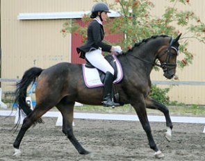 Winterbottom (by Weltjunge x Schwadroneur)