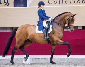 Wiolita (by San Remo x Renville)
