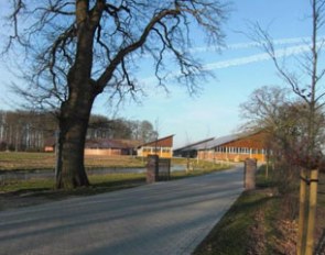 Alessandro Alemani's dressage stable in Vechta, Germany
