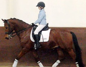 A rider/coach is wanted for this talented new junior rider's pair in Connecticut, U.S.A.