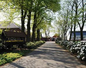 The idyllic driveway of Dressurpferde Ludwig Kathmann in Vechta, Germany