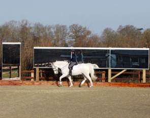 Mirrors for Training - arena mirrors as the ultimate training aid