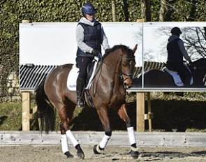 Zara Philips training her horses using Mirrors for Training