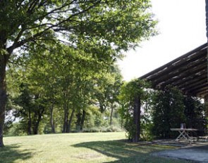 Side view of the garden and pergola