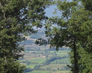 A view over the valley
