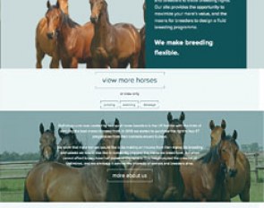 Goembryo.com, a novel classified website advertising in utero pregnancies and mares for embryo flushing