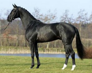 Grand Galaxy Win (by Apache x Jazz x Zeoliet)