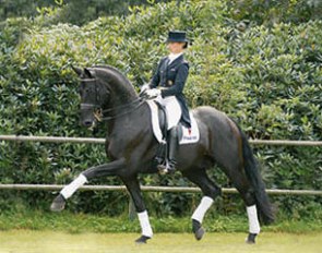 Rubinero (by Rubinstein x Ex Libris x Furioso II)