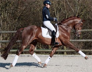 First Step Valentin (by Vitalis x Fidermark)