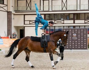 All disciplines of horse sport at Maxima Park