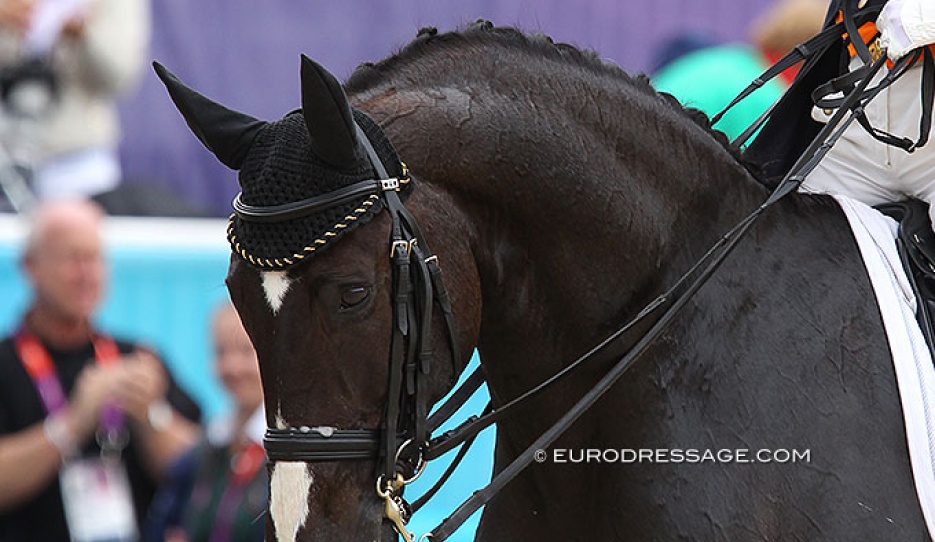 Salinero at his third Olympics Games in London 2012 :: Photo © Astrid Appels