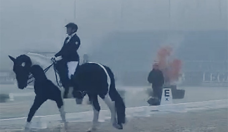 Noni Hartvikson competing Geronimo in foggy conditions in Langley, BC :: Photo © private