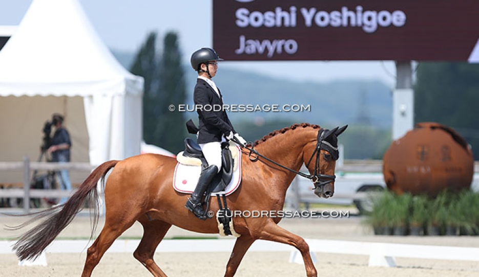 Soshi Yoshigoe on Javyro at the 2024 CPEDI Hagen :: Photo © Astrid Appels