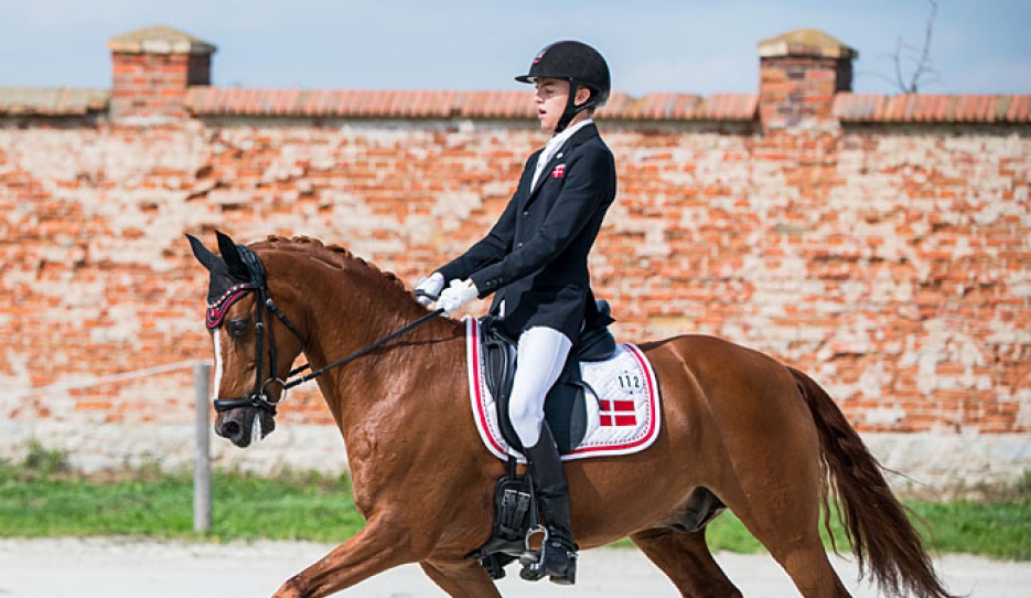 Alexander Yde Helgstrand and Adriano B win triple gold at the 2019 European Pony Championships :: Photo © Lukasz Kowalski