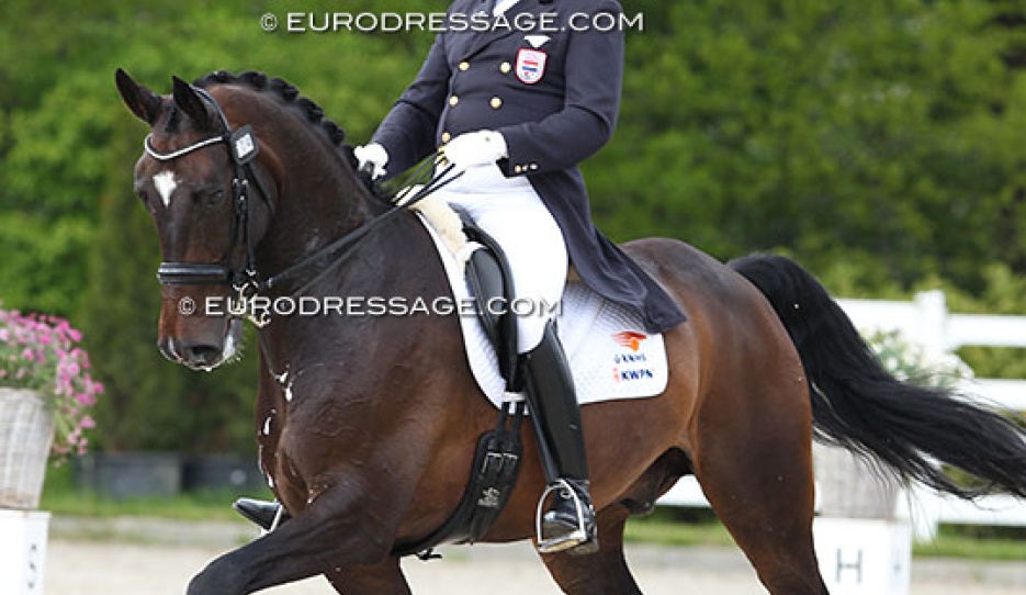 Johan Rockx on his home bred Verdi de la Fazenda at the 2013 CDI Roosendaal :: Photo © Astrid Appels