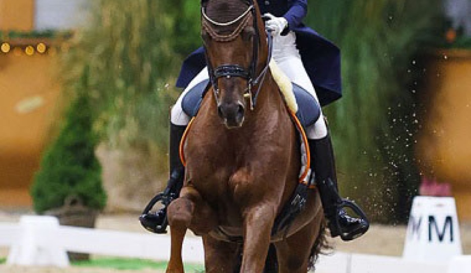 Kirsten Brouwer and Foundation RR at the 2022 CDI Kronenberg Indoor :: Photo © Astrid Appels