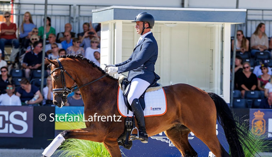 Of Ice and Fire U.S. in the 2024 KWPN Select Sale in Ermelo :: Photo © Stefan Lafrentz