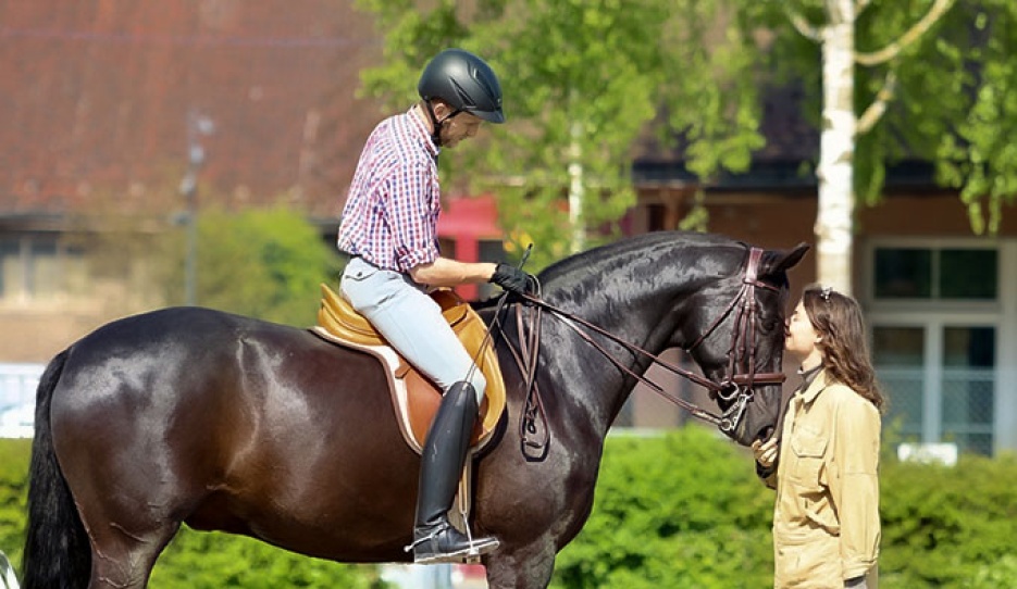 "„Those who wish to study the art of equitation will need a passionate devotion, a rare tenacity and a great ingenuity to surmount all the obstacles they will find in their way.“ :: General Decarpentry (Equitation Academique / Academic Equitation)