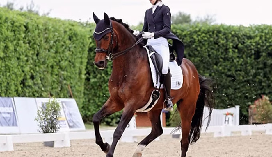 Natalie Stickling Morzynski on Esteban M